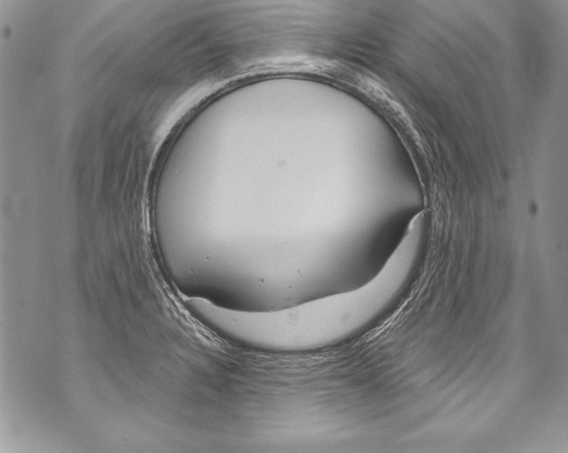 X0000070881328200607150136