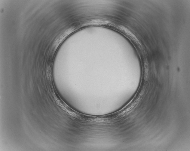 X0000070881329200607150136