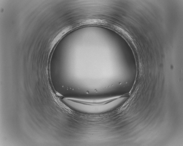 X0000070881330200607150137