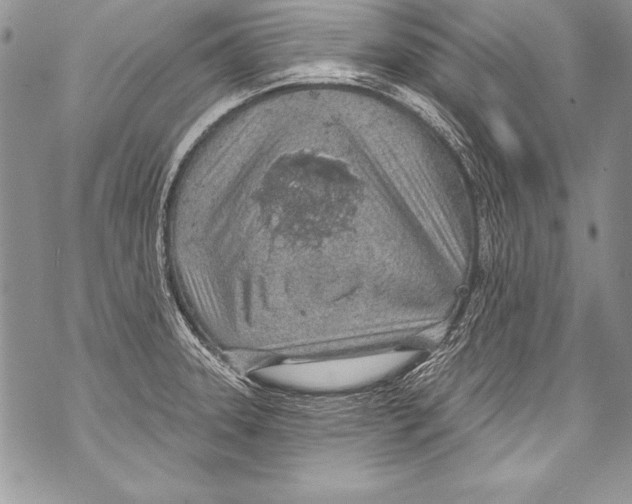 X0000070881331200607150137