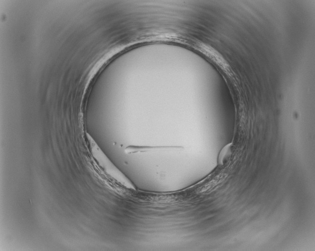 X0000070881332200607150137