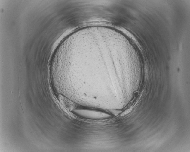 X0000070881333200607150137