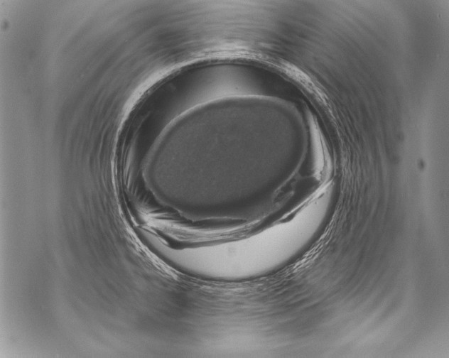 X0000070881334200607150137