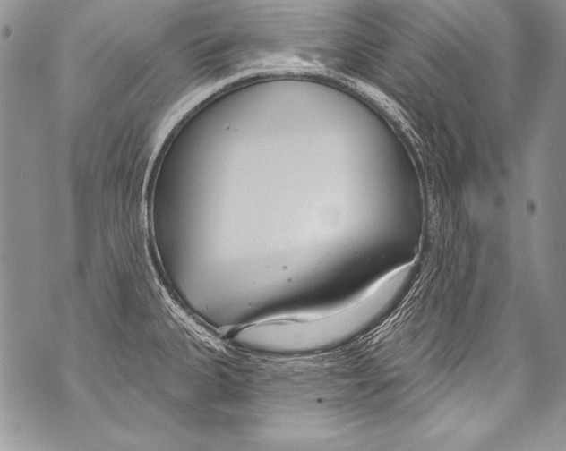 X0000070881335200607150137