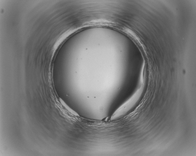 X0000070881336200607150137