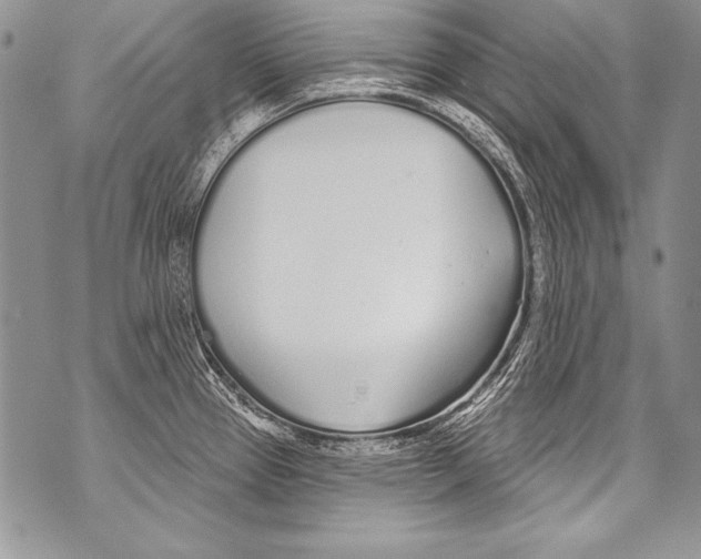 X0000070881337200607150137