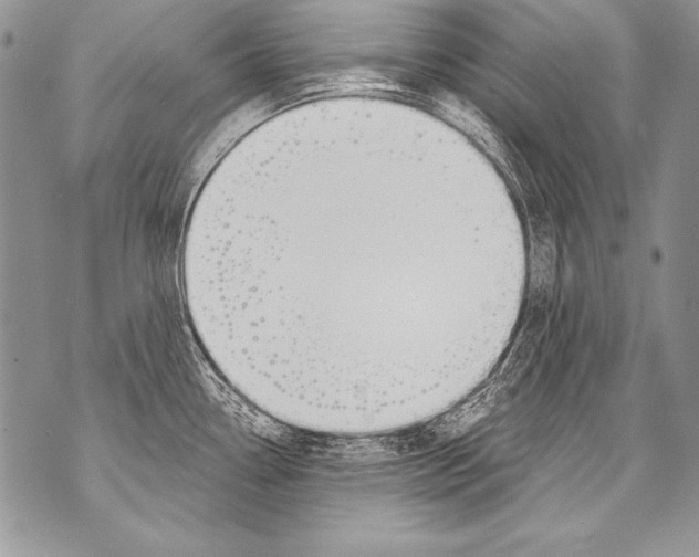 X0000070881338200607150137