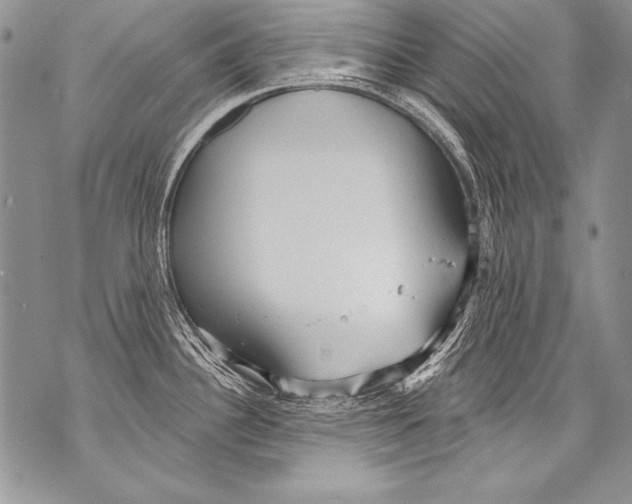 X0000070881340200607150137