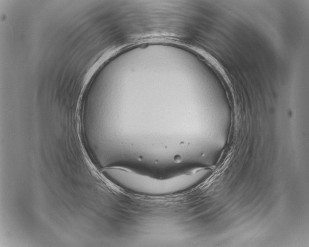 X0000070881341200607150137