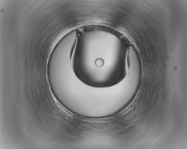 X0000070881342200607150137