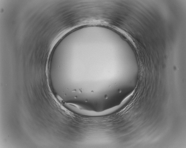 X0000070881343200607150137