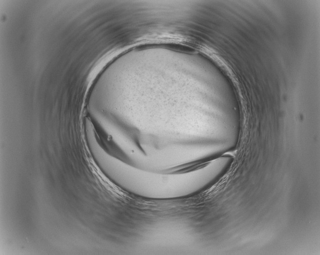 X0000070881344200607150137