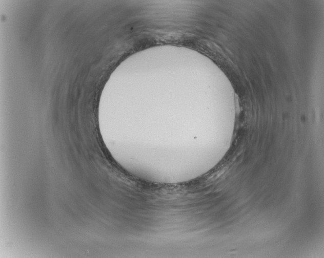 X0000070881345200607150136