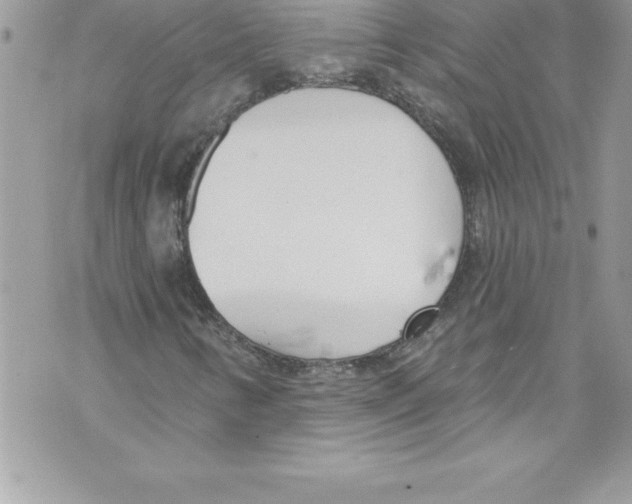 X0000070881346200607150136