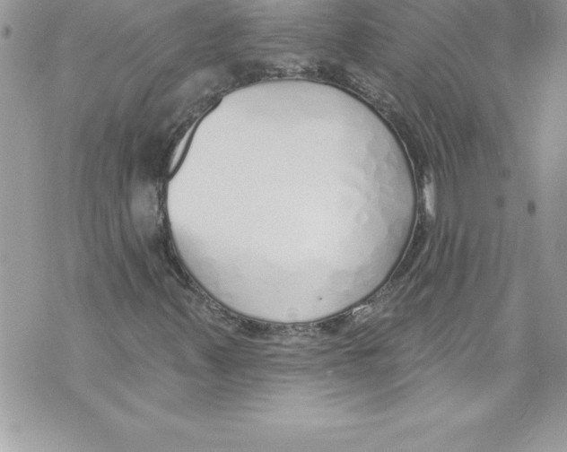 X0000070881347200607150136