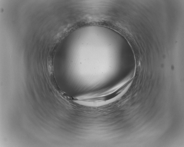 X0000070881348200607150136