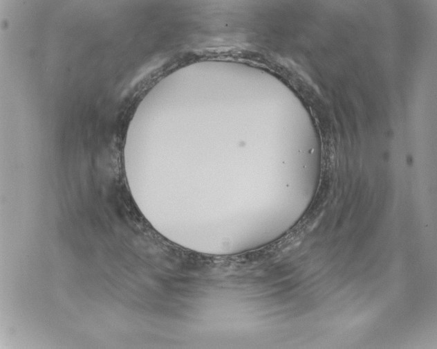 X0000070881350200607150136