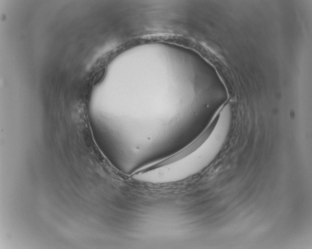 X0000070881351200607150136