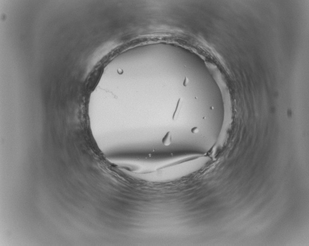 X0000070881352200607150136