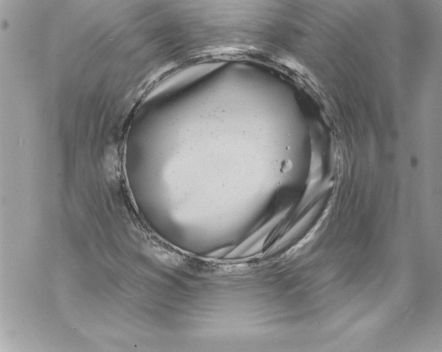 X0000070881353200607150136