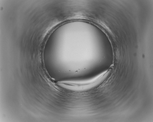 X0000070881356200607150136