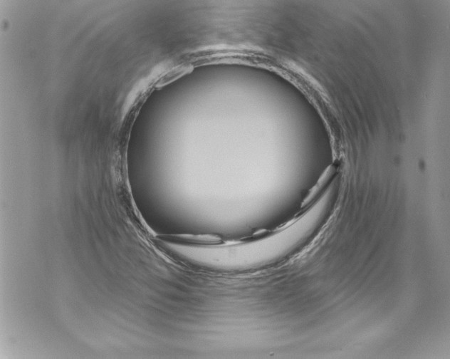 X0000070881357200607150136