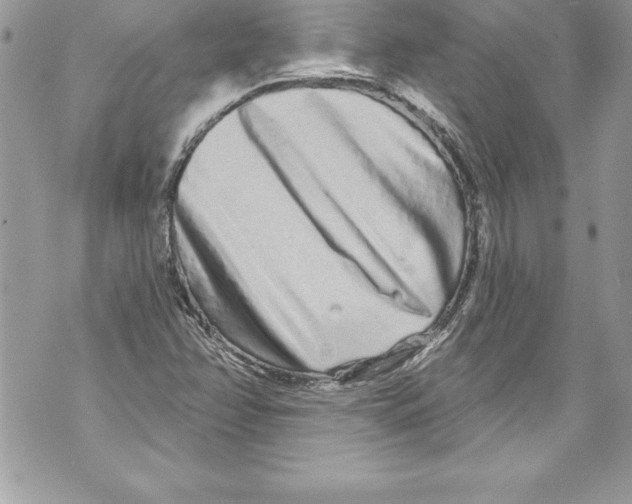 X0000070881358200607150136