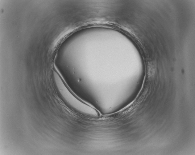 X0000070881359200607150136