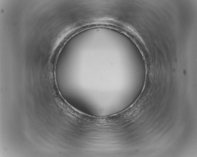 X0000070881360200607150136