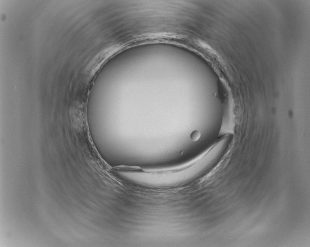 X0000070881361200607150136