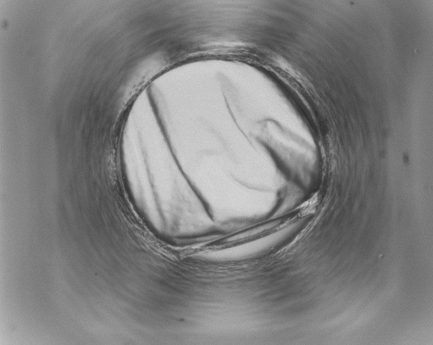 X0000070881362200607150136