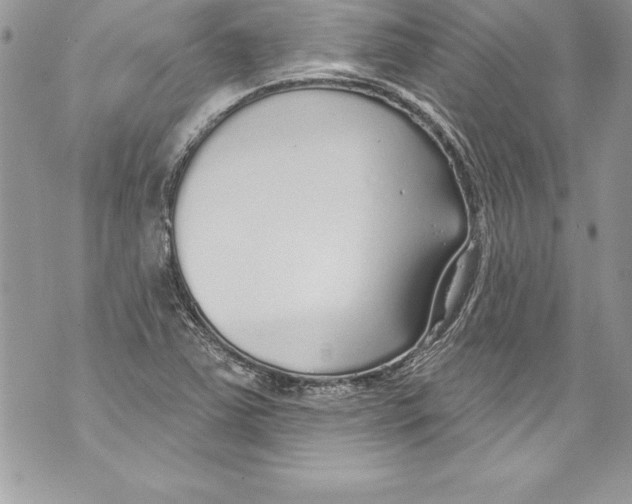 X0000070881363200607150136