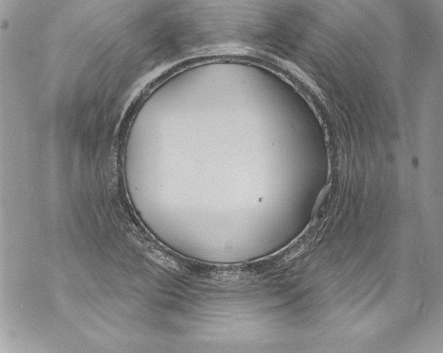 X0000070881364200607150136