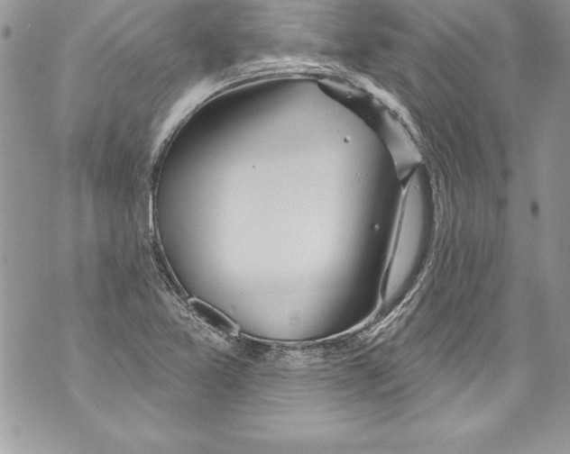 X0000070881365200607150136