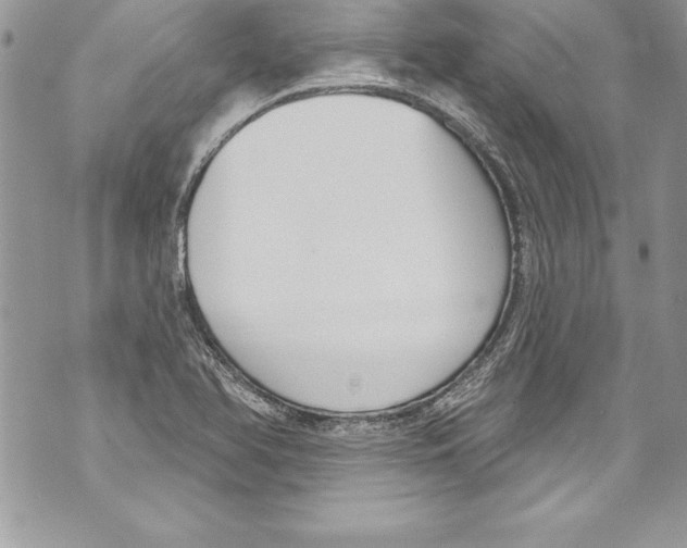 X0000070881366200607150136