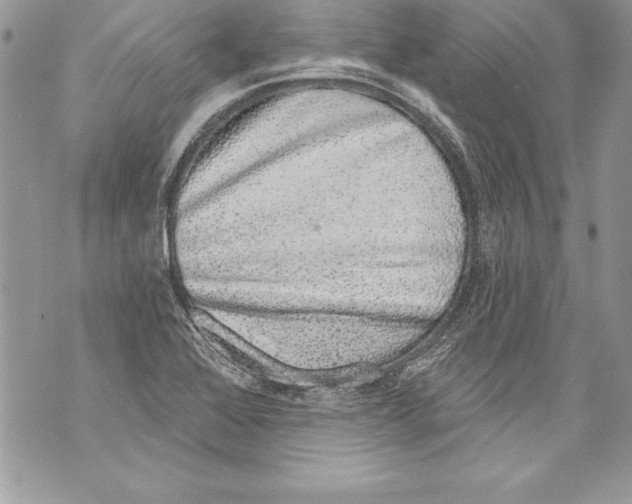 X0000070881368200607150136