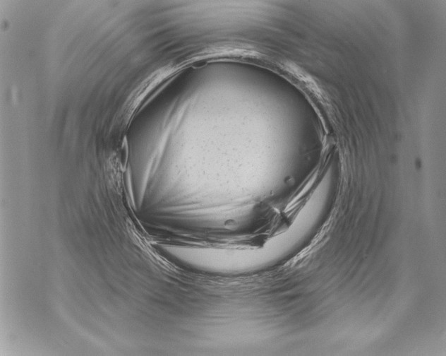 X0000070881369200607150136