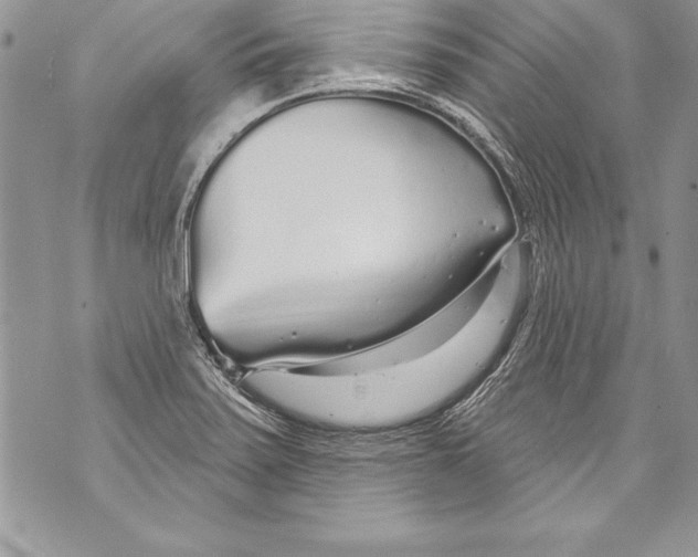 X0000070881371200607150136