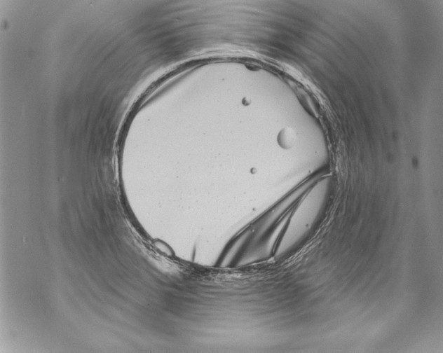 X0000070881372200607150136