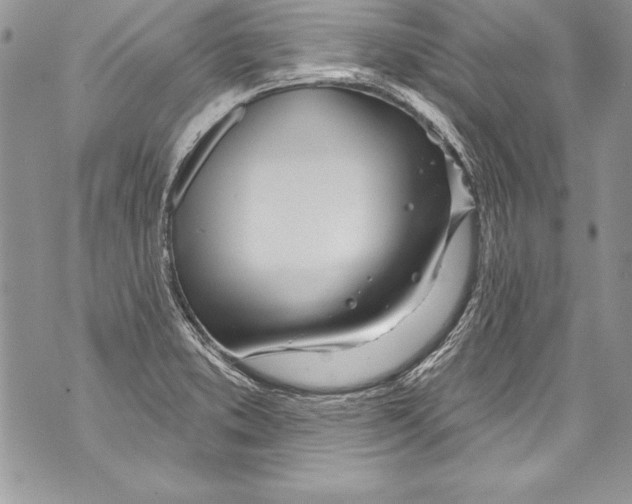 X0000070881373200607150136