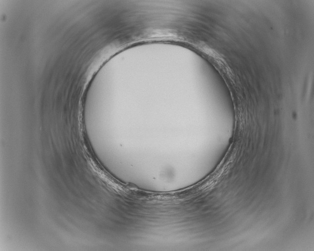 X0000070881374200607150136