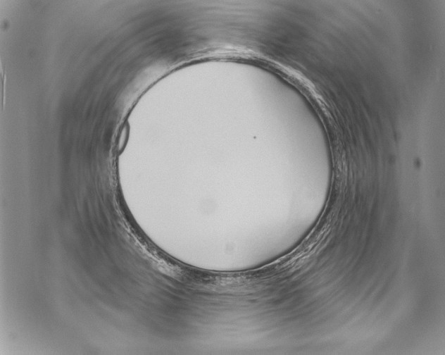 X0000070881375200607150135