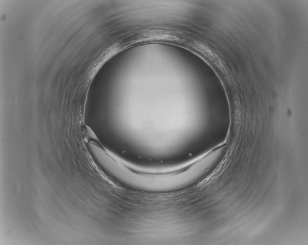 X0000070881377200607150135