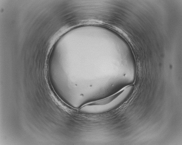 X0000070881379200607150135