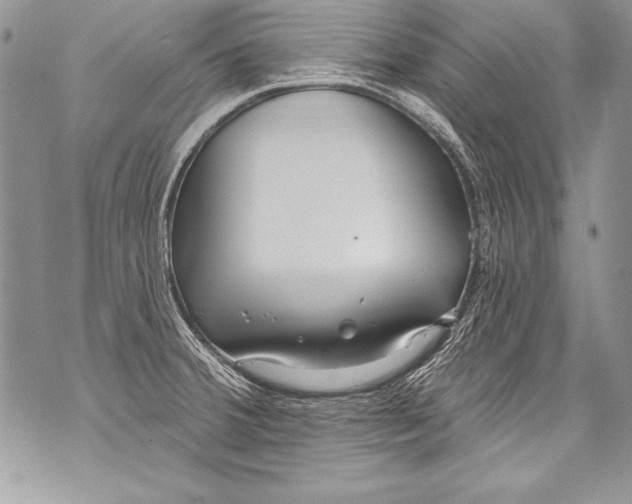 X0000070881380200607150135