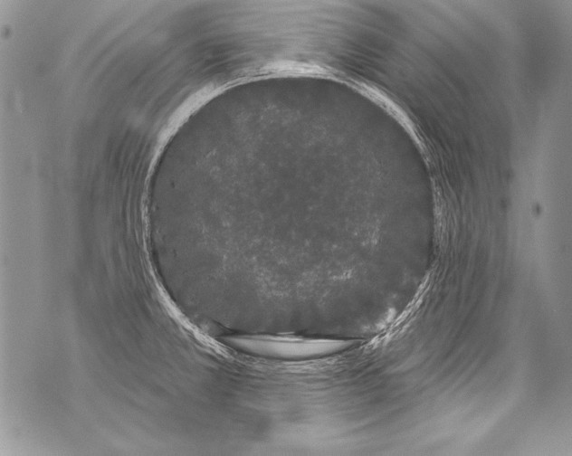 X0000070881381200607150135