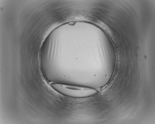 X0000070881382200607150135