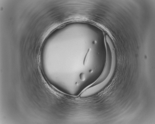 X0000070881383200607150135