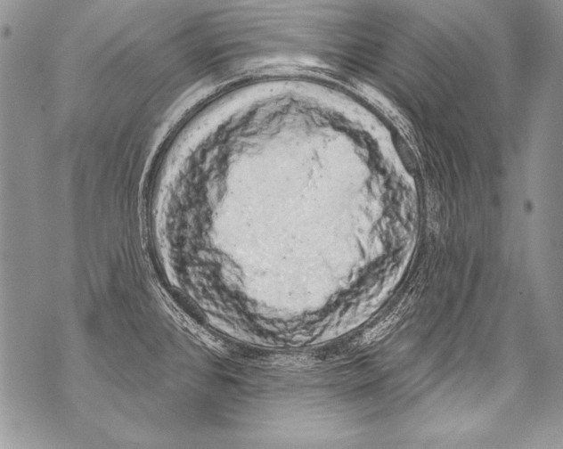 X0000070881384200607150135