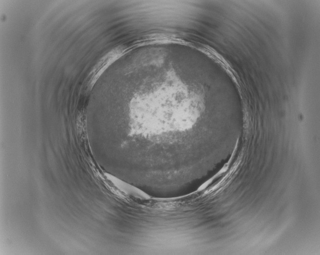 X0000070881385200607150135